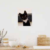 Cute Black en White Tuxedo Kitten Poster (Keuken)