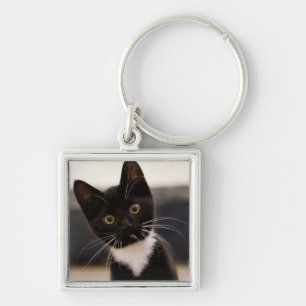 Cute Black en White Tuxedo Kitten Sleutelhanger