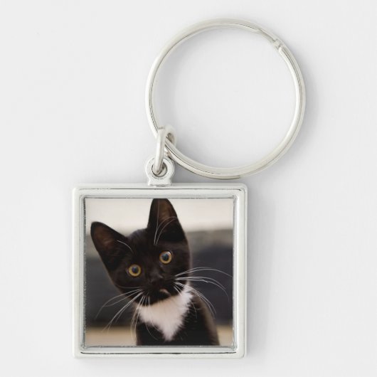Cute Black en White Tuxedo Kitten Sleutelhanger (Voorkant)