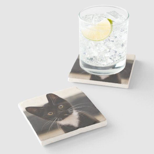 Cute Black en White Tuxedo Kitten Stenen Onderzetter (Zijkant)
