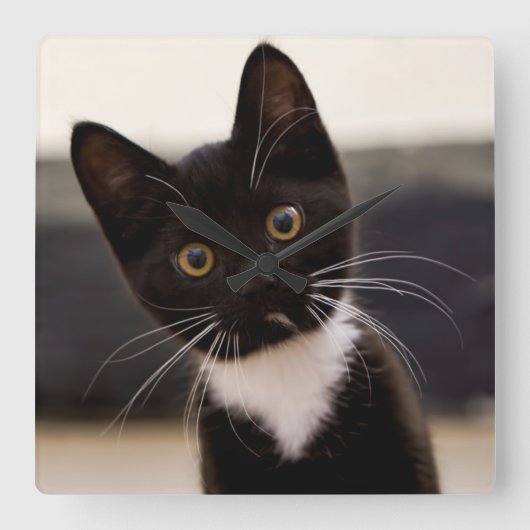 Cute Black en White Tuxedo Kitten Vierkante Klok (Voorkant)