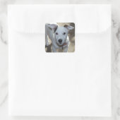 Cute Black en White van Jack Russell Puppy Vierkante Sticker (Tas)