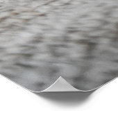 Cute Black Grey Oranje Cat Slaping Poster (Hoek)