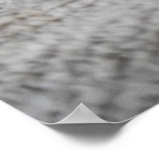 Cute Black Grey Oranje Cat Slaping Poster (Hoek)