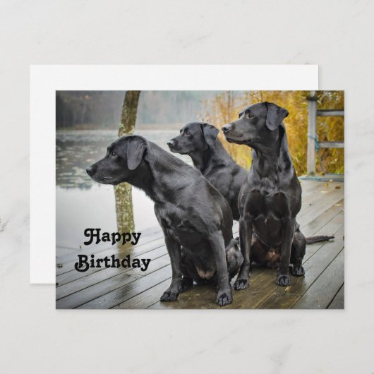 Cute Black Lab Dock Birthday Briefkaart (Voorkant / Achterkant)