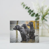 Cute Black Lab Dock Photo Briefkaart (Staand voorkant)