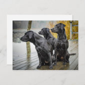 Cute Black Lab Dock Photo Briefkaart (Voorkant / Achterkant)