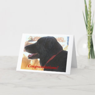 Cute Black Lab Dog feliciteert DVM-Afstuderen Kaart