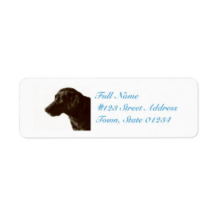 Cute Black Lab Etiket