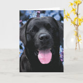 Cute Black Lab Labrador Retriever Dog Kaart (Gele Bloem)