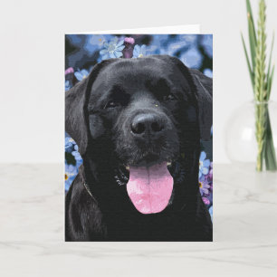 Cute Black Lab Labrador Retriever Dog Kaart