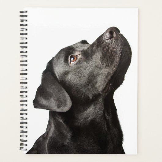Cute Black Lab Puppy Dog Love Labrador Retriever Planner (Voorkant)