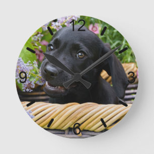 Cute Black Labrador Retriever Dog Puppy dial-bord Ronde Klok