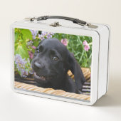 Cute Black Labrador Retriever Dog Puppy Pet Photo (Voorkant)