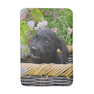 Cute Black Labrador Retriever Dog Puppy Pet Photo Badmat
