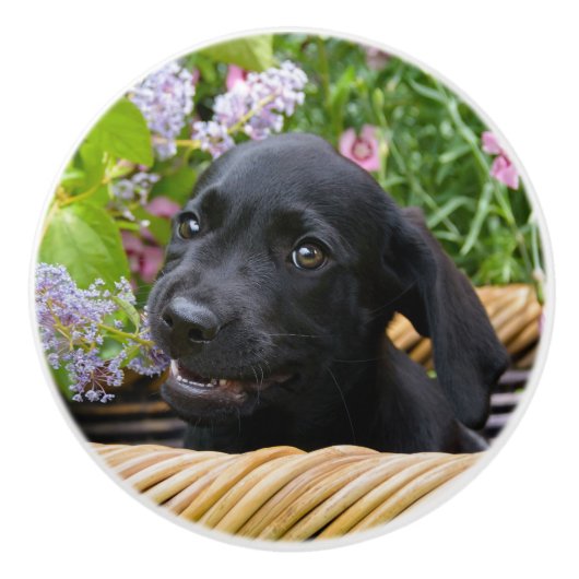 Cute Black Labrador Retriever Dog Puppy Pet Photo Keramische Knop (Voorkant)