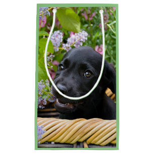 Cute Black Labrador Retriever Dog Puppy Pet Photo Klein Cadeauzakje