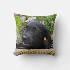 Cute Black Labrador Retriever Dog Puppy Pet Photo Kussen