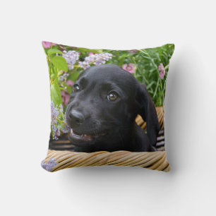 Cute Black Labrador Retriever Dog Puppy Pet Photo Kussen