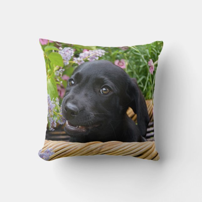 Cute Black Labrador Retriever Dog Puppy Pet Photo Kussen (Voorkant)