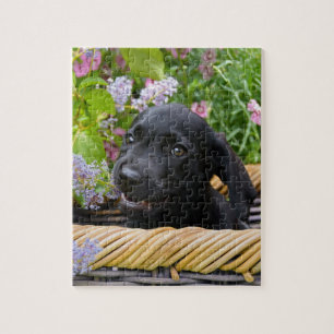 Cute Black Labrador Retriever Dog Puppy Pet Photo Legpuzzel