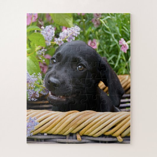 Cute Black Labrador Retriever Dog Puppy Pet Photo Legpuzzel (Verticaal)