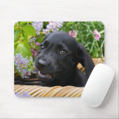 Cute Black Labrador Retriever Dog Puppy Pet Photo Muismat (Met muis)