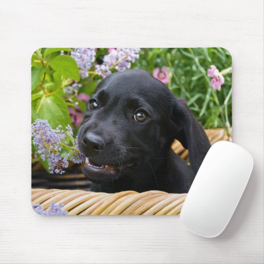 Cute Black Labrador Retriever Dog Puppy Pet Photo Muismat (Met muis)