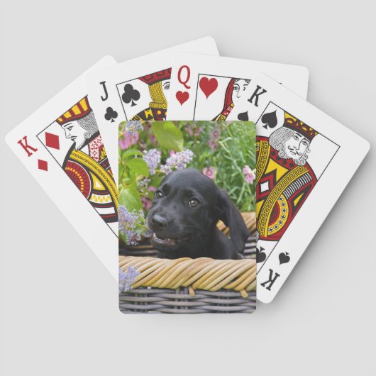 Cute Black Labrador Retriever Dog Puppy Pet Photo Pokerkaarten (Achterkant)