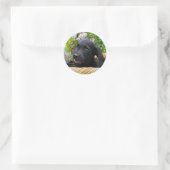 Cute Black Labrador Retriever Dog Puppy Pet Photo Ronde Sticker (Tas)