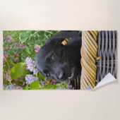 Cute Black Labrador Retriever Dog Puppy Pet Photo Strandlaken (Voorkant)