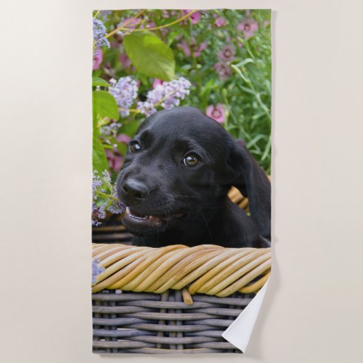 Cute Black Labrador Retriever Dog Puppy Pet Photo Strandlaken (Voorkant)