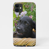 Cute Black Labrador Retriever Dog Puppy Photo * Case-Mate iPhone Case (Achterkant)