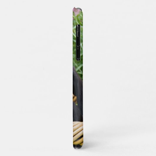 Cute Black Labrador Retriever Dog Puppy Photo * Case-Mate iPhone Case (Achterkant/links)