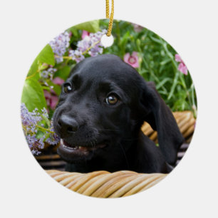 Cute Black Labrador Retriever Dog Puppy Photo ... Keramisch Ornament
