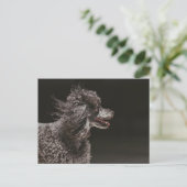 Cute Black Podle Dog Head Wind Briefkaart (Staand voorkant)