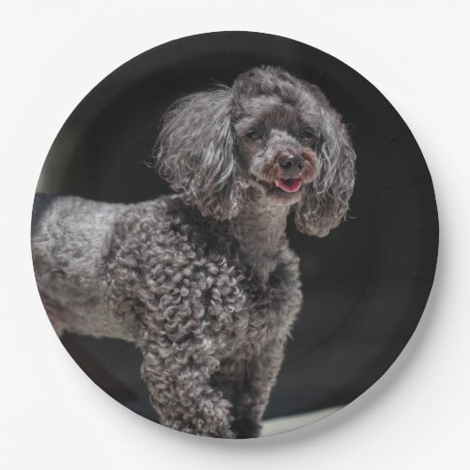 Cute Black Poodle Dog Head glimlachen Papieren Bordje (Voorkant)