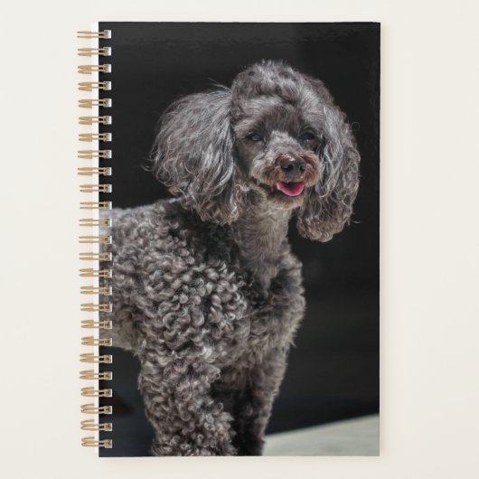 Cute Black Poodle Dog Head glimlachen Planner (Voorkant)
