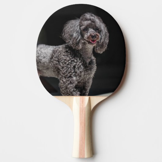 Cute Black Poodle Dog Head glimlachen Tafeltennisbatje (Voorkant)
