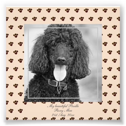 Cute Black Poodle Dogs PHOTO Named Keepslag Foto Afdruk (Voorkant)