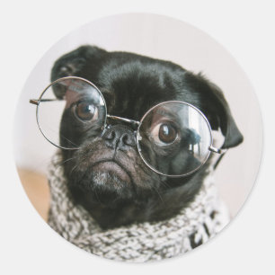 Cute Black Pug met Glasses Dog Foto Ronde Sticker