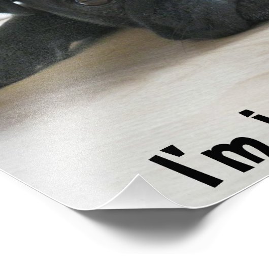 Cute Black Pug Puppy Laziness Poster (Hoek)