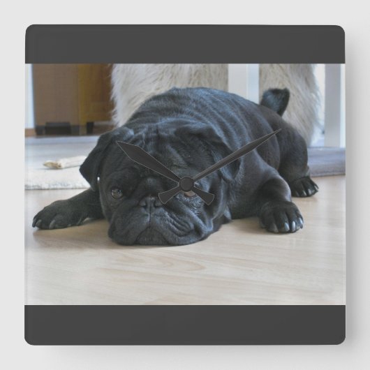 Cute Black Pug Puppy Wall klok (Voorkant)