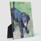 Cute Black Puppy Fotoplaat (Zijkant)