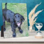Cute Black Puppy Fotoplaat (Zijkant)