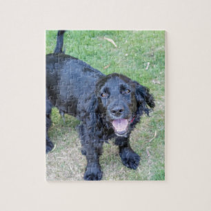 Cute Black Puppy Legpuzzel