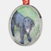 Cute Black Puppy Metalen Ornament (Links)
