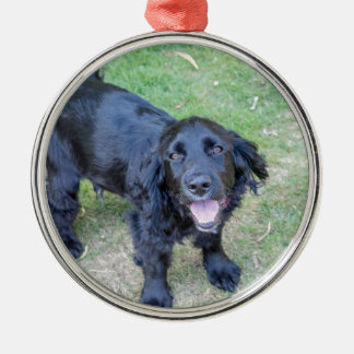 Cute Black Puppy Metalen Ornament