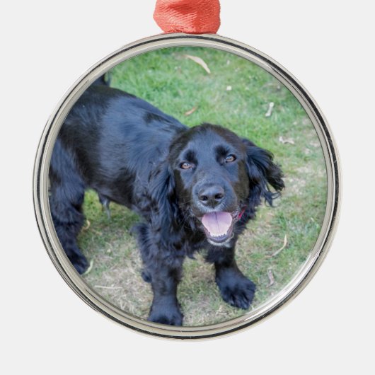 Cute Black Puppy Metalen Ornament (Voorkant)