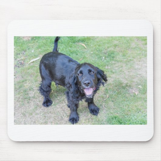 Cute Black Puppy Muismat (Voorkant)